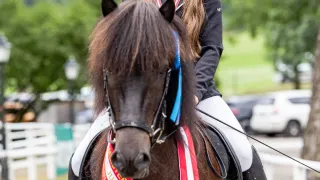 Eine Frau mit Helm reitet ein braunes Pferd mit einer rot-weißen Schärpe um den Hals. Sie lächelt und scheint bei einer Reitveranstaltung zu sein.