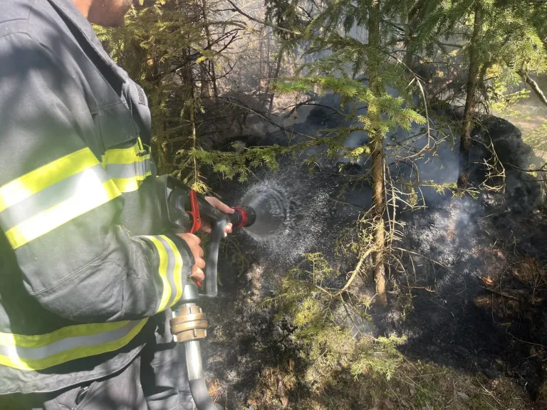Ein Feuerwehrmann in voller Ausrüstung verwendet einen Hochdruckschlauch, um einen Waldbrand zu löschen, mit Bäumen und Rauch im Hintergrund.