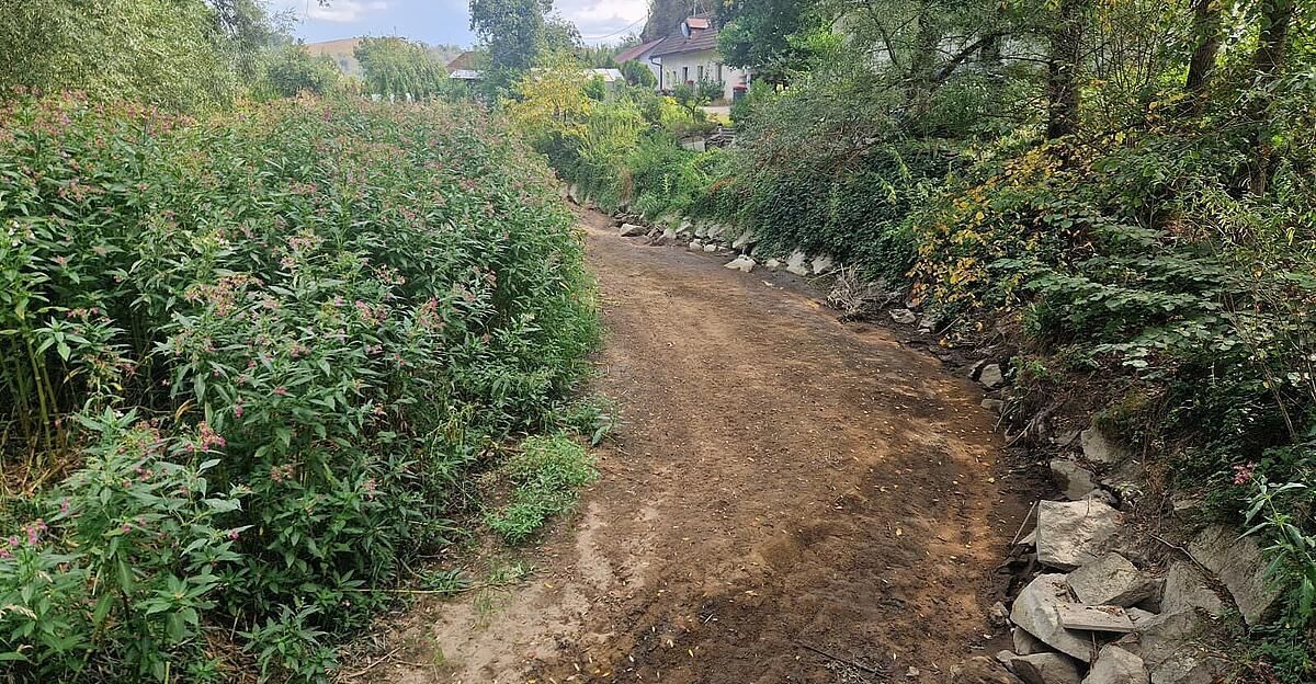 A dirt path surrounded by greenery and rocks, leading to a house in the distance.