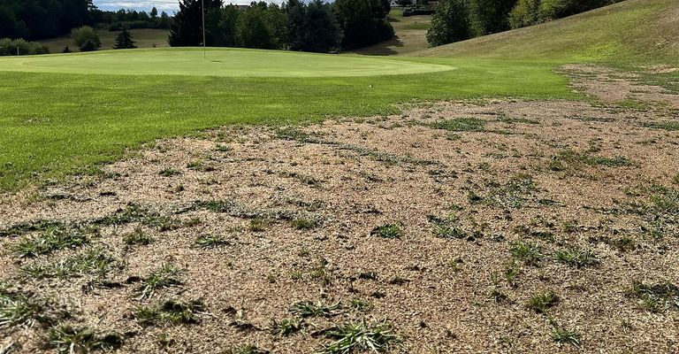 Ein Golfplatz mit einem grünen Feld und einem sandigen Bereich mit spärlichem Gras. Bäume und ein Haus sind in der Ferne sichtbar.