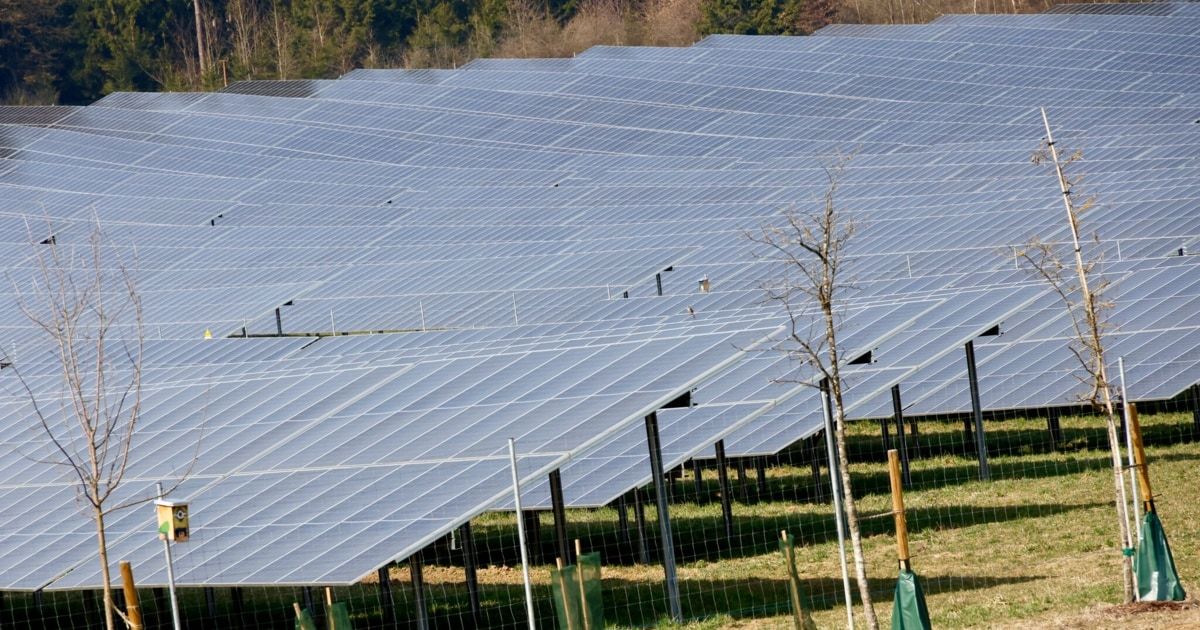 Ein großes Solarkraftwerk mit vielen Solarmodulen auf einem Grasfeld und einem Baum im Vordergrund.