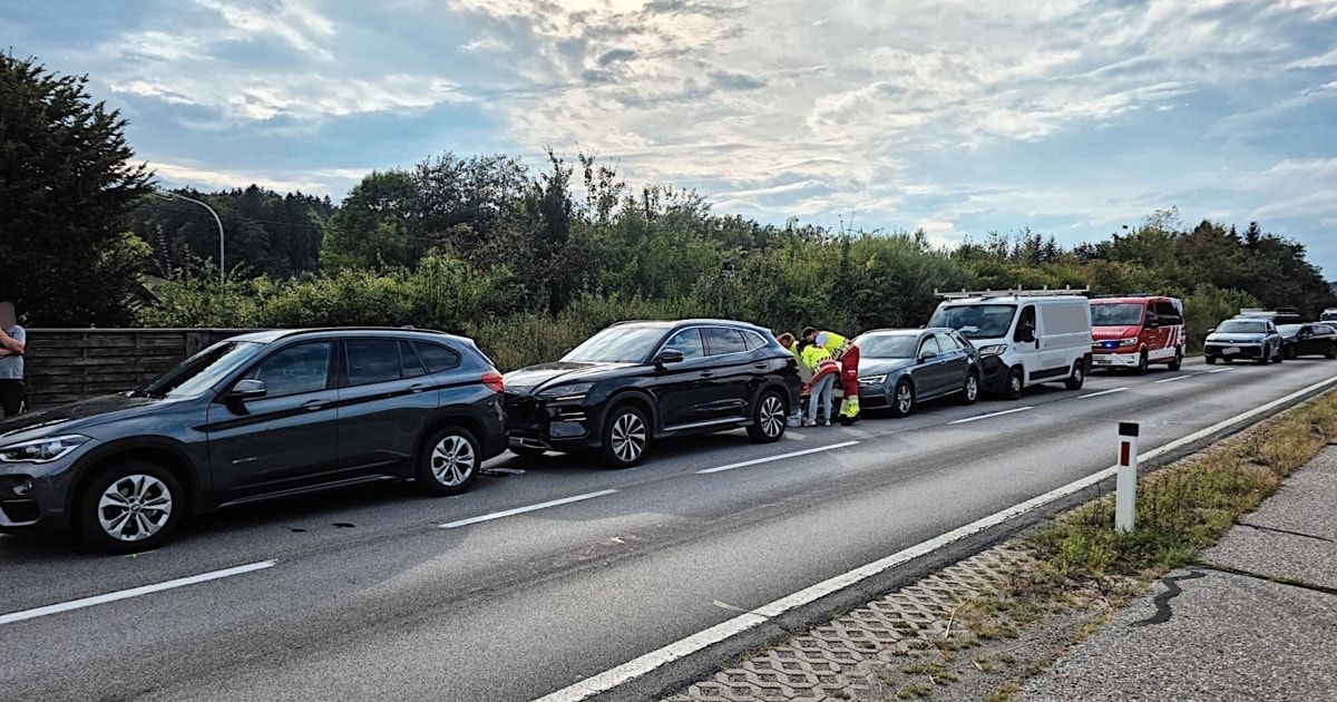 Mehrere Autos sind am Straßenrand geparkt, wobei zwei Personen in Warnwesten ein Fahrzeug betreuen. Bäume und Büsche säumen den Straßenrand.