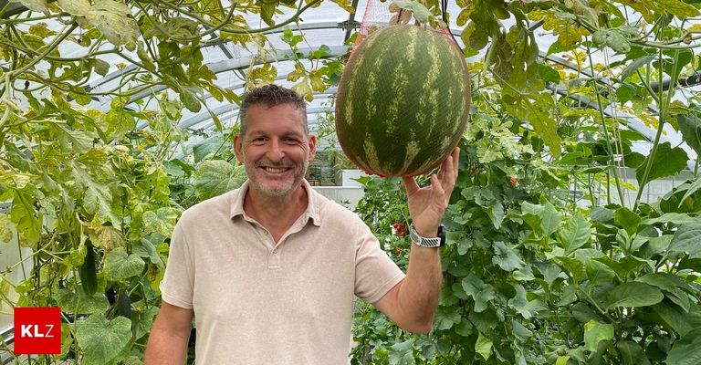 A man in a tan shirt holds a large watermelon in a greenhouse, smiling.