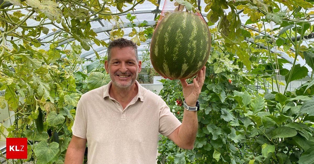 A man in a tan shirt holds a large watermelon in a greenhouse, smiling.