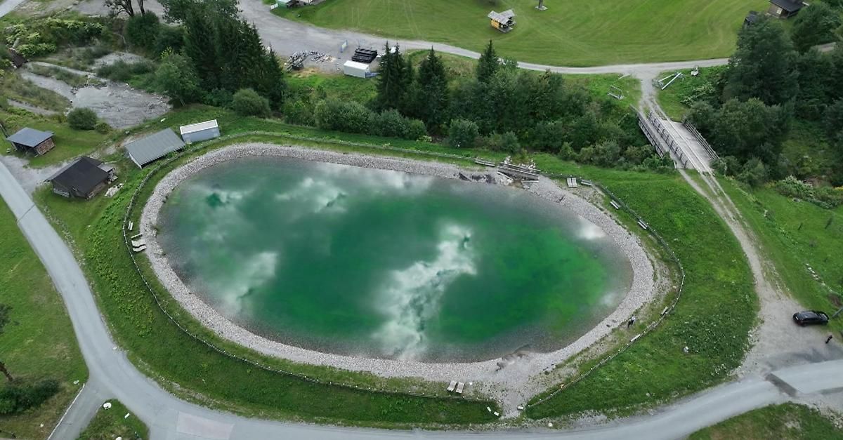 Ein Luftbild eines kreisförmigen Teichs mit grünem Wasser, umgeben von Kies und üppigem Grün, mit einem kleinen Haus und einem Pfad in der Ferne.