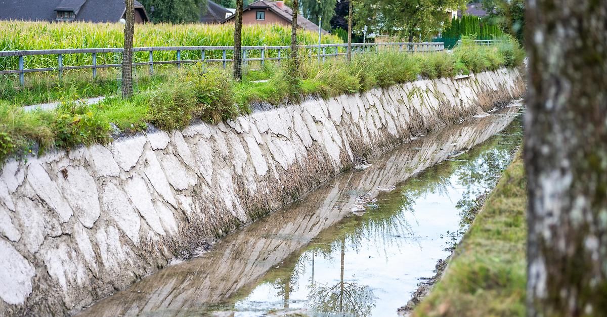 A narrow canal with cracked concrete walls, reflecting trees and grass, surrounded by a fence and a field of corn.