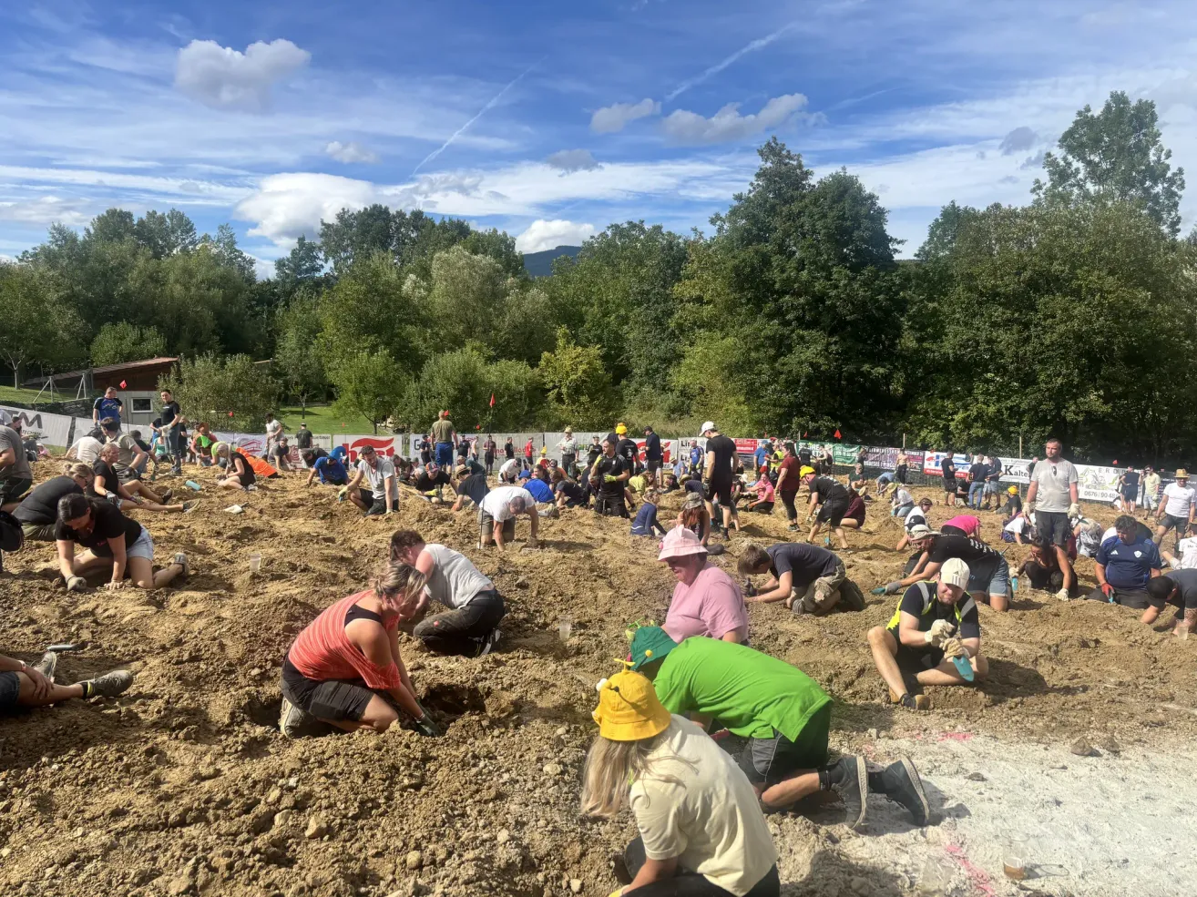 A large group of people are digging in the dirt under a blue sky with trees in the background.