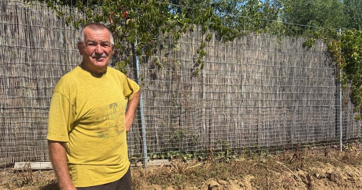 An older man with a mustache stands in front of a bamboo fence in a garden. He wears a yellow shirt with a graphic design.