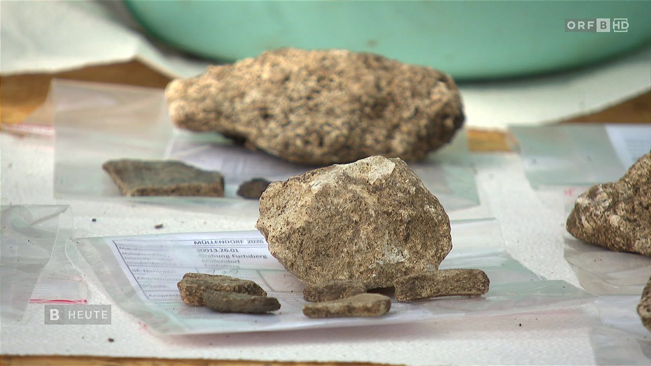 A collection of stones and rocks on a white surface, with a label reading 'MOLLENDORE 2026' and 'Fruhung Fuchsberg'.