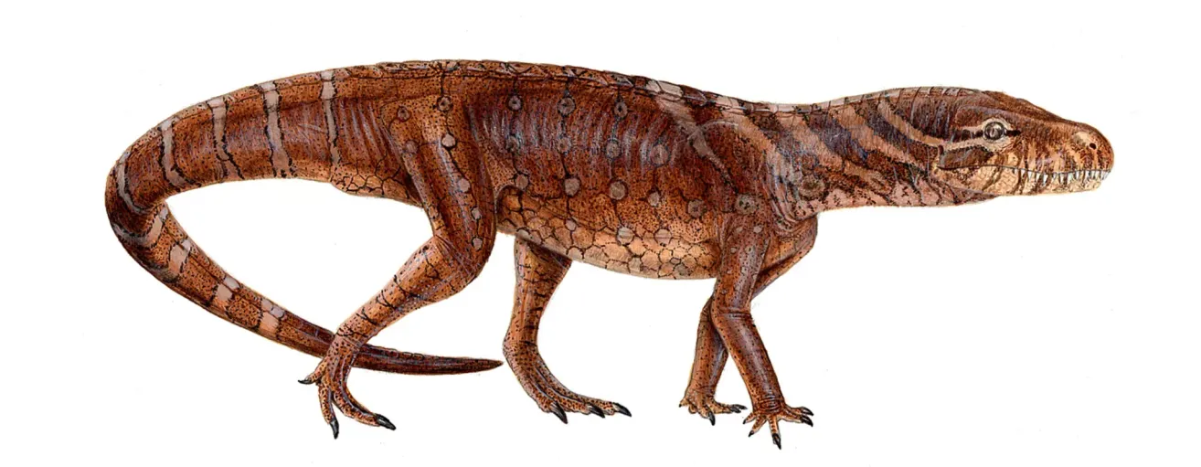 Eine künstlerische Rekonstruktion eines prähistorischen Dinosauriers mit braun-beiger gefleckter Haut, der auf einem weißen Hintergrund läuft.