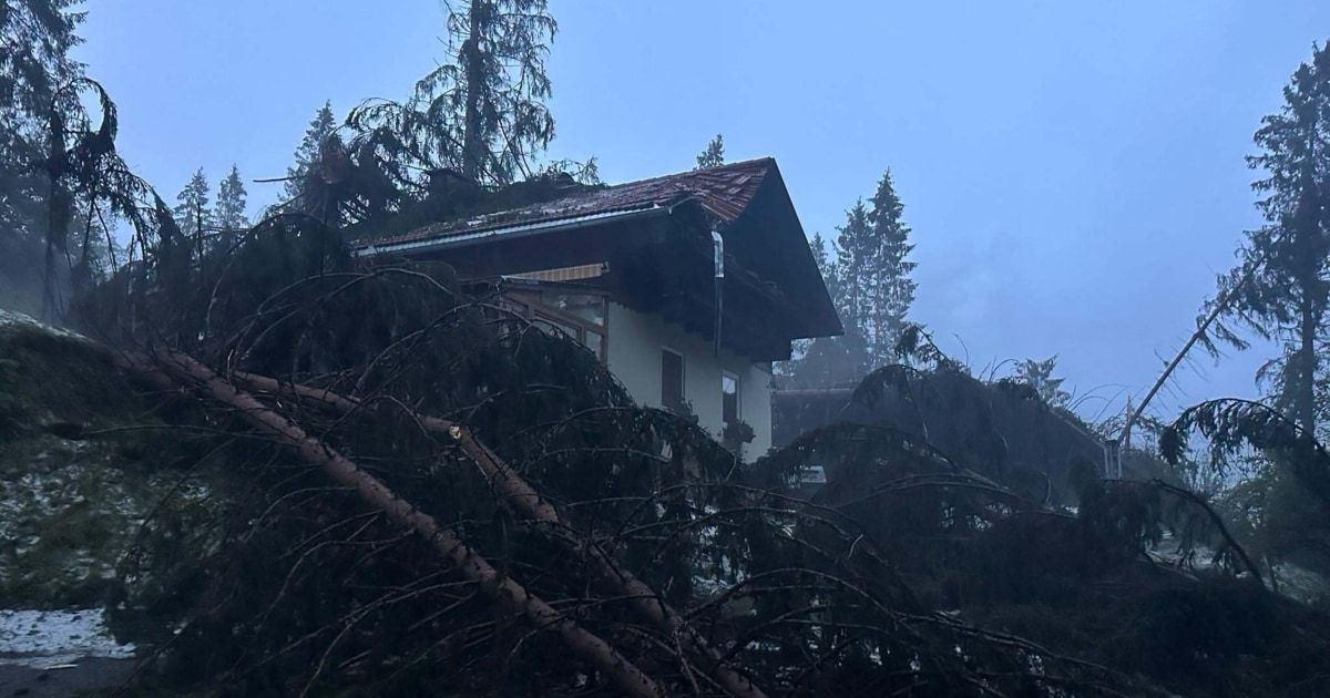 Ein Haus mit einem braunen Dach und einem Schornstein ist von umgestürzten Bäumen und Ästen umgeben, was auf schwere Wetterschäden hinweist.
