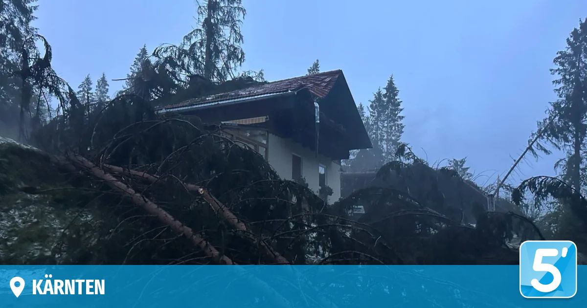 Ein Haus mit einem beschädigten Dach und umgestürzten Bäumen davor, umgeben von anderen Bäumen und einem blauen Himmel.