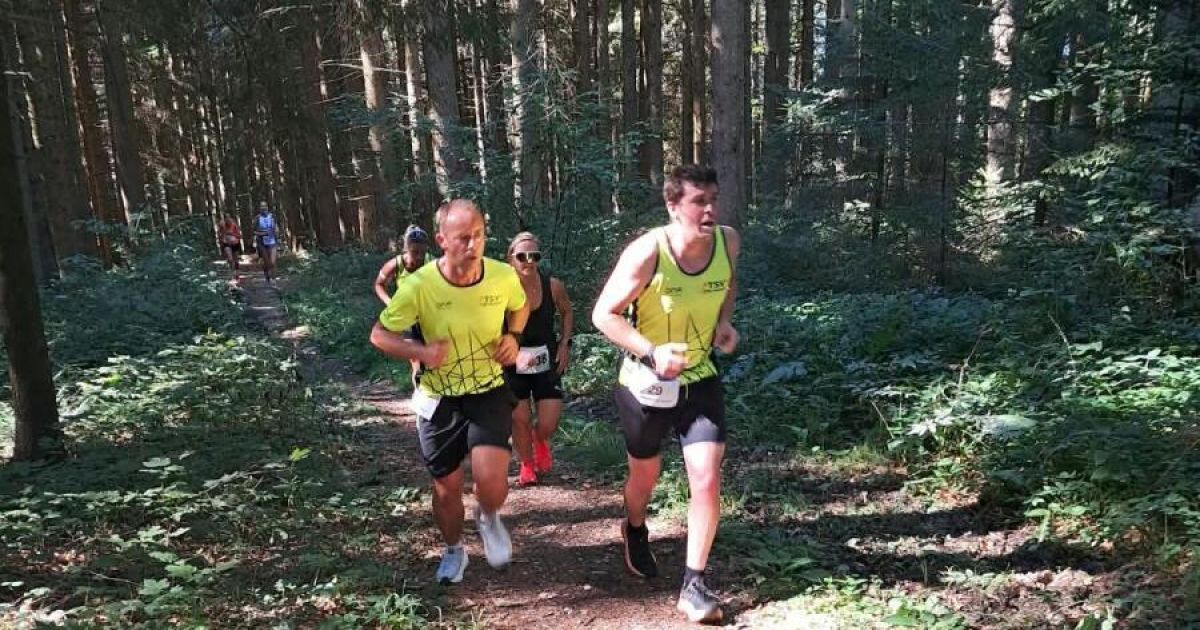 Eine Gruppe von Läufern joggt auf einem Waldweg, wobei zwei Männer in gelben Shirts die Gruppe anführen. Der Weg ist von hohen Bäumen und Grünpflanzen umgeben.