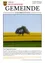Ein lebendiges Bild eines Baumes inmitten eines riesigen gelben Feldes unter einem klaren blauen Himmel. Der Baum ist von saftigem grünem Gras umgeben. Das Bild ist Teil eines Gemeinde-Newsletters.