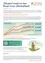 Ein Infografik, das eine Solarstromanlage für Wohngebäude bewirbt, mit garantierten Renditen, dynamischer jährlicher Vergütung und einer Live-Dashboard für die Überwachung der Energieproduktion. Es enthält auch einen QR-Code für den einfachen Zugriff auf den Kauf des Solarpakets.