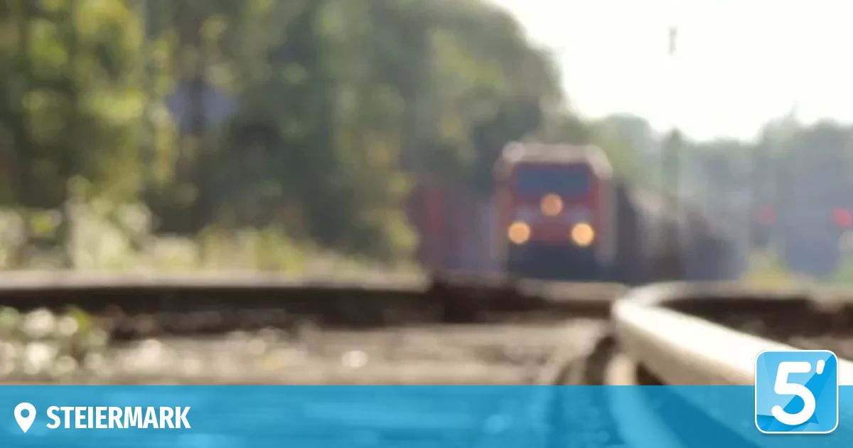 Ein verschwommenes Bild eines Zuges auf einer Bahnstrecke mit Bäumen im Hintergrund.