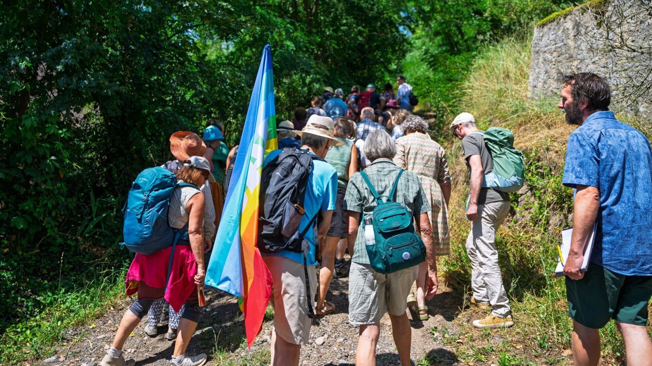 A group of hikers walk along a trail in a forest, some carrying backpacks and flags. The trail is narrow, surrounded by trees and grass.