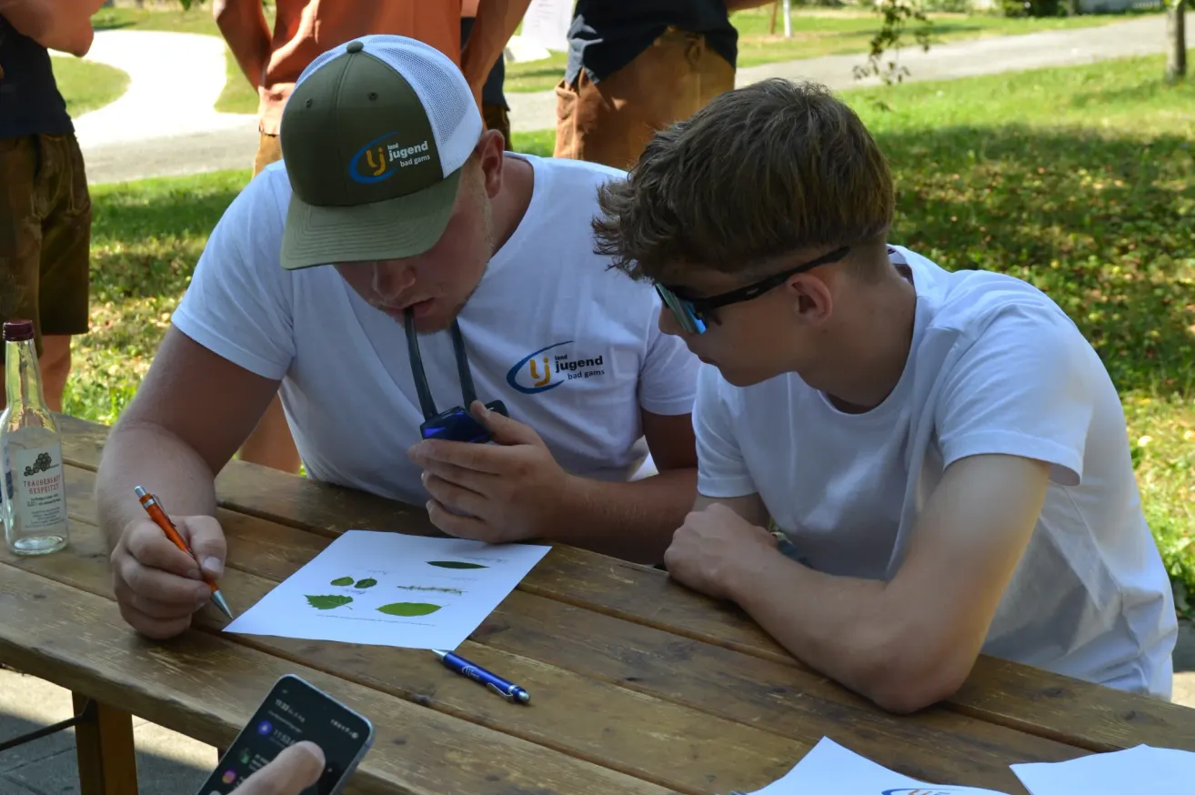 Two men are sitting at a picnic table, one is using a phone and the other is looking at a paper with leaves.