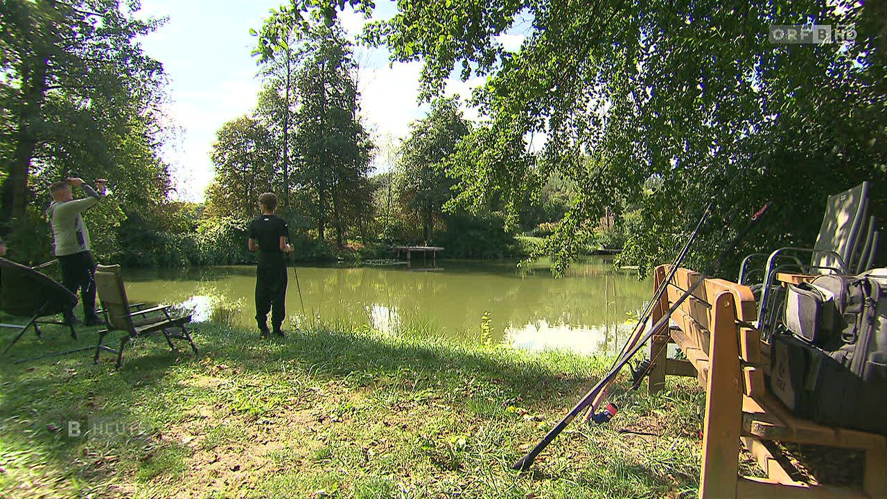 Ein Mann steht am Teich und hält Angelruten in der Hand, unter einem Baum an einem sonnigen Tag.