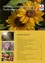 Eine hellgelbe Sonnenblume mit grünen Blättern steht im Mittelpunkt des Bildes. Sie ist von einem gelben Rand und Text auf Deutsch umgeben.