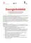 Das Bild ist ein Dokument mit dem Titel 'Energieleitbild der Marktgemeinde Ernstbrunn'. Es beschreibt die Energieziele für die Marktgemeinde Ernstbrunn, einschließlich der Verbesserung der Energieeffizienz, der Erhöhung der Nutzung erneuerbarer Energien und der Förderung eines nachhaltigen Lebensstils.