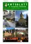 Eine Collage von Bildern, die verschiedene Aspekte der Gemeinde Ernstbrunn in Österreich zeigen. Die Bilder zeigen eine Kirche, eine Bank, eine Baustelle, ein Haus mit Solarpanelen und eine musikalische Aufführung.