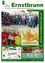 Ein Gemeindebulletin mit verschiedenen Bildern und Texten. Das oberste Bild zeigt eine Gruppe von Menschen in Winterkleidung, die einen Weihnachtskranz halten. Darunter ist eine Karte von Ernstbrunn zu sehen. Das untere linke Bild zeigt einen Budgetvorschlag mit Grafiken und Diagrammen. Das untere rechte Bild zeigt ein Gebäude mit einem Klavier und einer Menschenmenge.