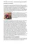 Ein Dokument mit einer Blumenarrangement auf der linken Seite und Text über den Tourismus- und Verschönerungsverein Alland.