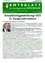 Ein Dokument mit dem Titel 'Hauptplatzgestaltung-NEU II. Bürgerinformation' von der Gemeinde Ernstbrunn, Österreich, mit einem Mann und einer Liste von Vorschlägen für die Neugestaltung des Hauptplatzes.