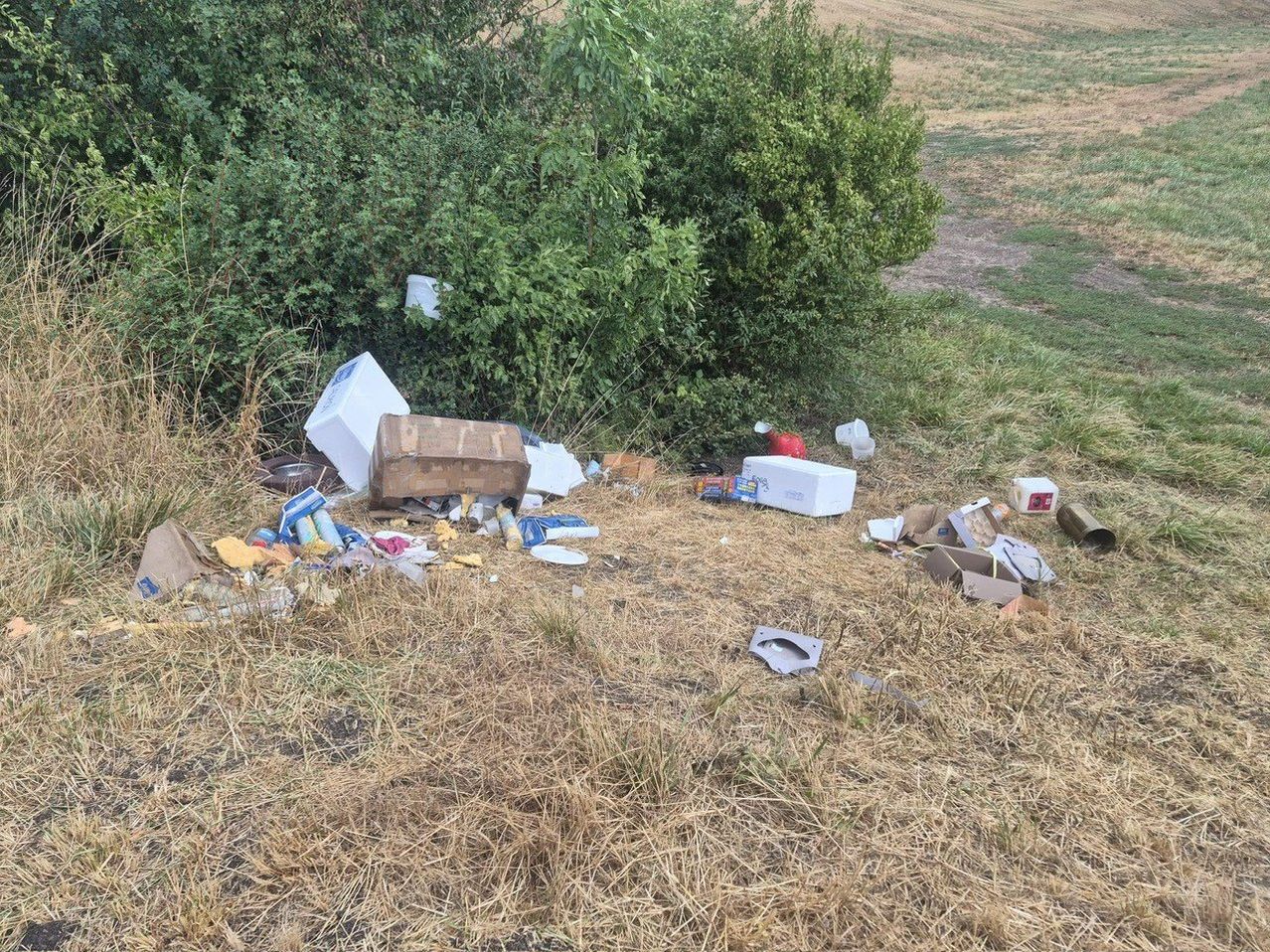 Ein Feld mit trockenem Gras und verstreutem Müll, einschließlich Kartons, Plastiktüten und anderer Abfälle, in der Nähe eines Busches.