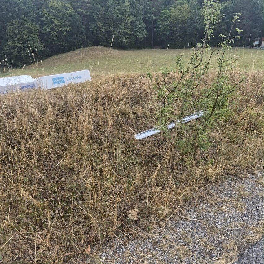 Ein Feld mit hohem Gras und einer umgefallenen Schachtel mit Lachs. Eine kleine Pflanze wächst im Gras.