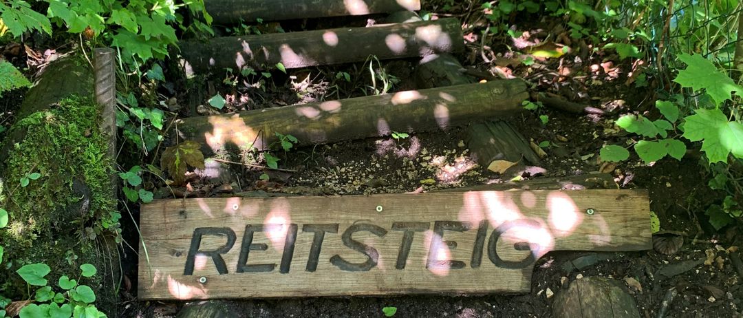 Ein Holzschild mit der Aufschrift Reitsteig ist an einer Holzstufe auf einem Pfad in einem Wald befestigt. Der Weg besteht aus Holzstufen, die von Pflanzen und Bäumen umgeben sind.