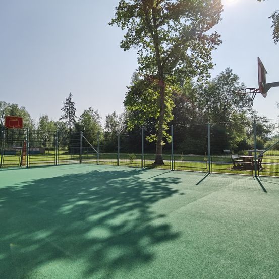 Ein Basketballplatz im Freien mit grüner Oberfläche, umgeben von einem Metallzaun. Ein Basketballkorb befindet sich auf der rechten Seite. Bäume und ein Gebäude sind hinter dem Zaun.