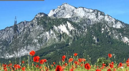Eine Berglandschaft mit roten Blumen im Vordergrund unter einem blauen Himmel mit einem Turm in der Ferne.