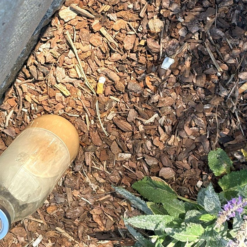 Eine verwitterte Flasche liegt auf gemulchter Gartenerde, in der Nähe einer grünen Pflanze mit lila Blüten, mit einem sichtbaren Betonrand oben links.