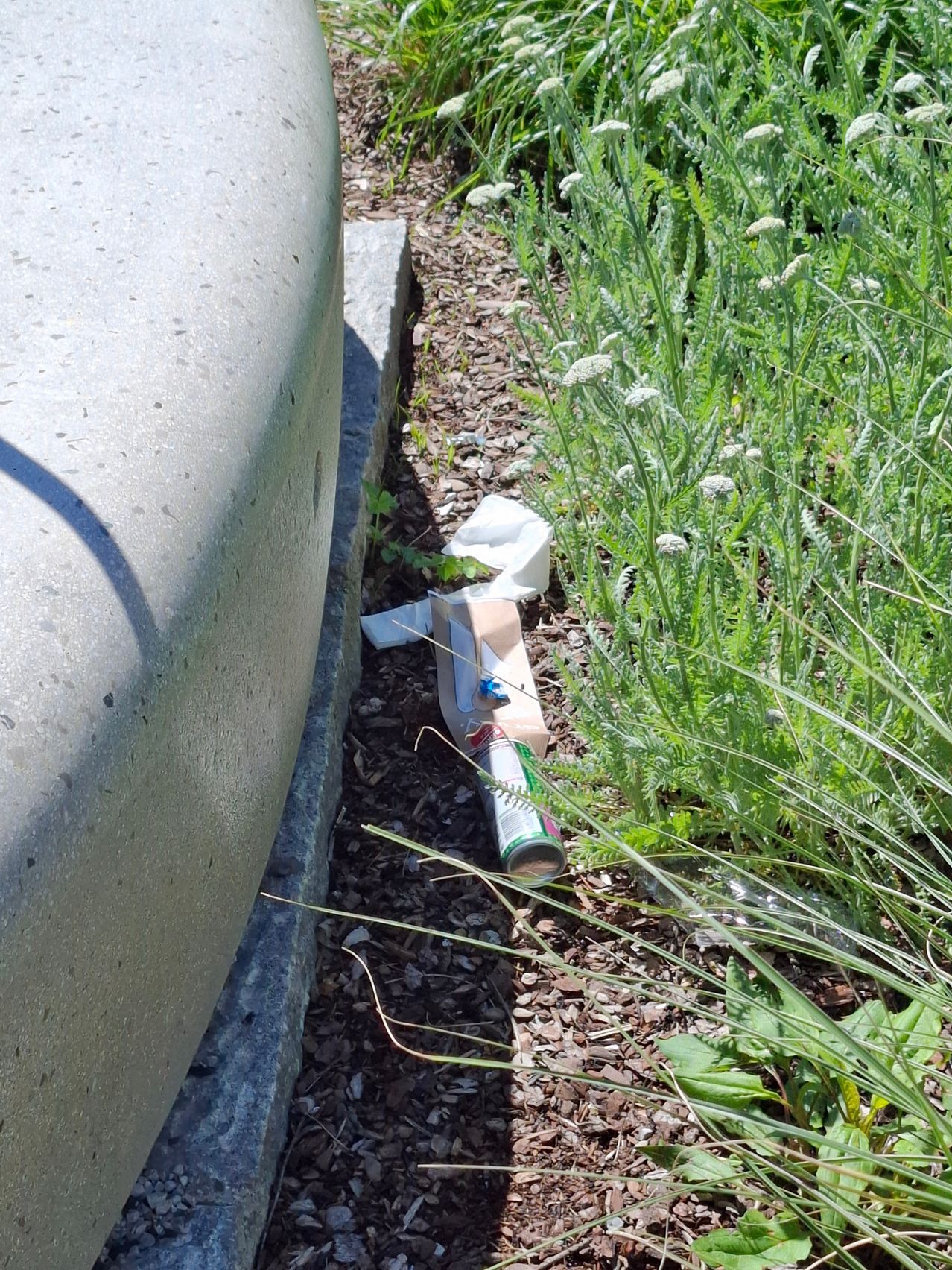 Ein Betonrand neben einem Garten mit einer Dose, einem Taschentuch und anderem Müll auf dem Boden.