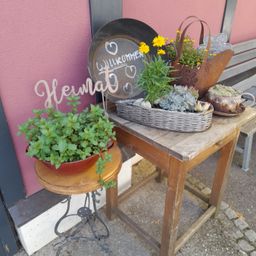 Ein Holztisch mit einem Metallschild mit der Aufschrift Heimat und verschiedenen Topfpflanzen, darunter ein Korb mit Sukkulenten, ein dekorativer Teller und eine Gießkanne.
