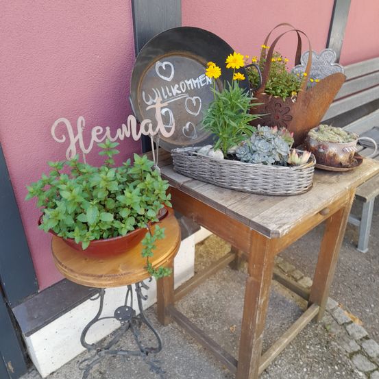 Ein Holztisch mit einem Metallschild mit der Aufschrift Heimat und verschiedenen Topfpflanzen, darunter ein Korb mit Sukkulenten, ein dekorativer Teller und eine Gießkanne.