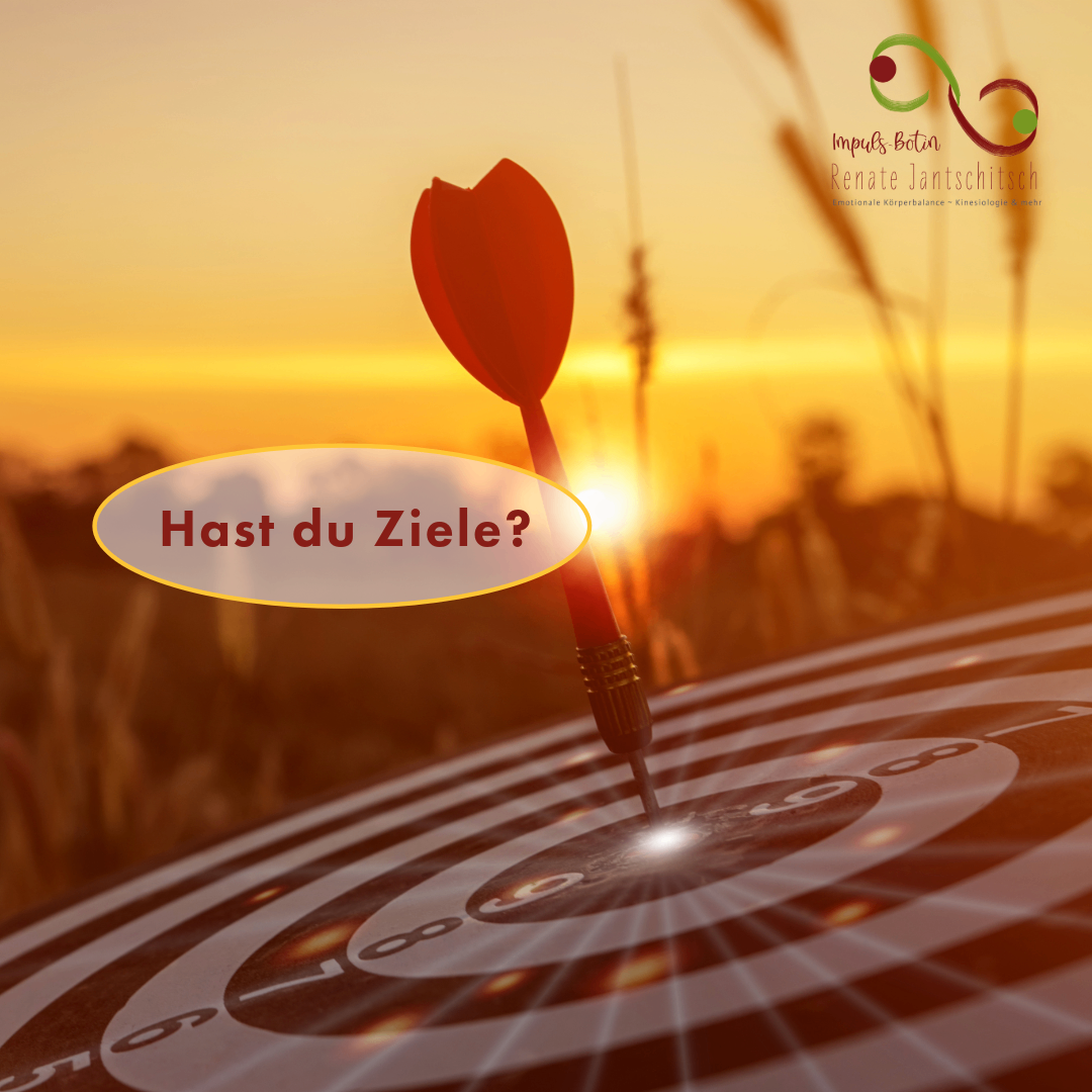 Ein Dartpfeil befindet sich auf einem Dartboard mit einer Fragezeichenblase darüber, die 'Hast du Ziele?' lautet. Der Pfeil ist in der Mitte des Dartboards positioniert.