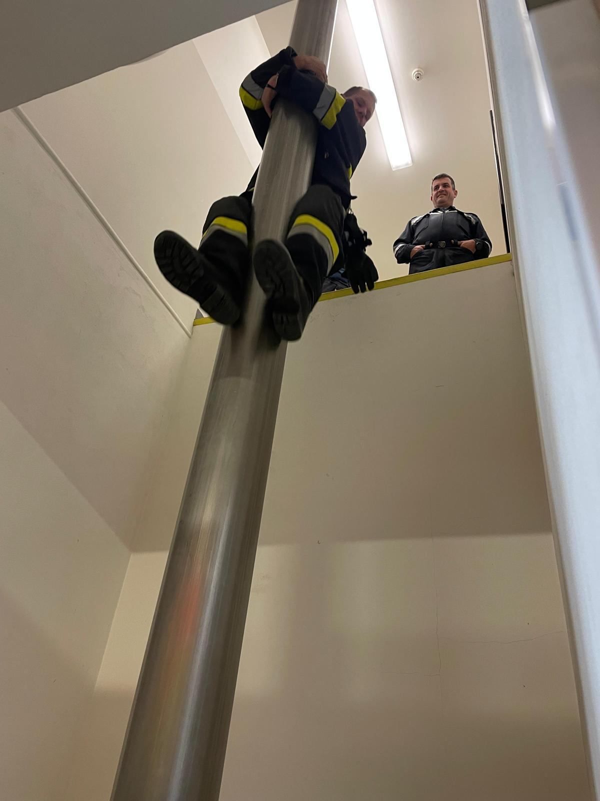 Bild enthält, Adult, Male, Man, Person, Worker