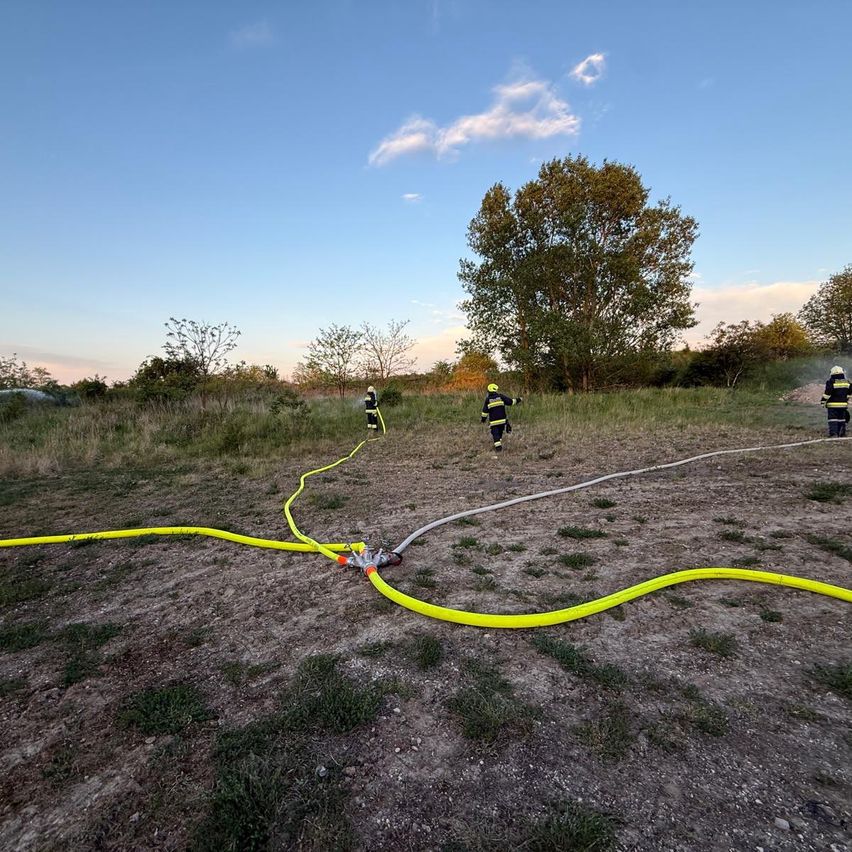 Feuerwehrleute laufen mit Schläuchen auf einem Feld unter einem blauen Himmel mit Bäumen in der Ferne.