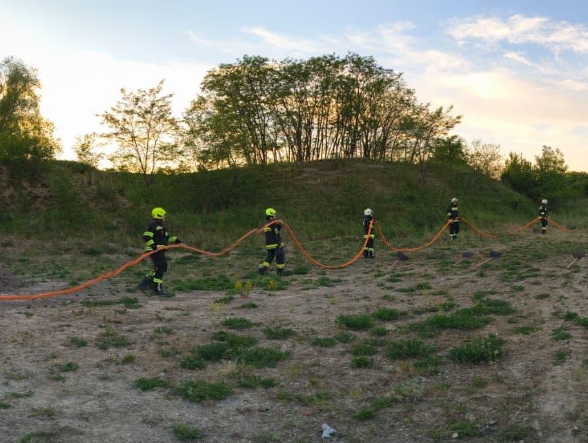 Eine Gruppe von Feuerwehrleuten übt das Ziehen einer langen orangefarbenen Schläuche auf einem offenen Feld mit Bäumen im Hintergrund.