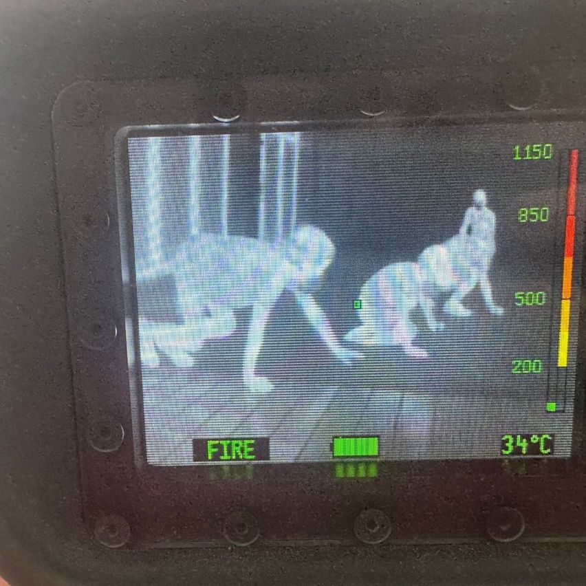 Wärmebild mit drei Figuren in Bewegung, Temperaturanzeigen von 34 Grad Celsius und einem Feuer-Label.