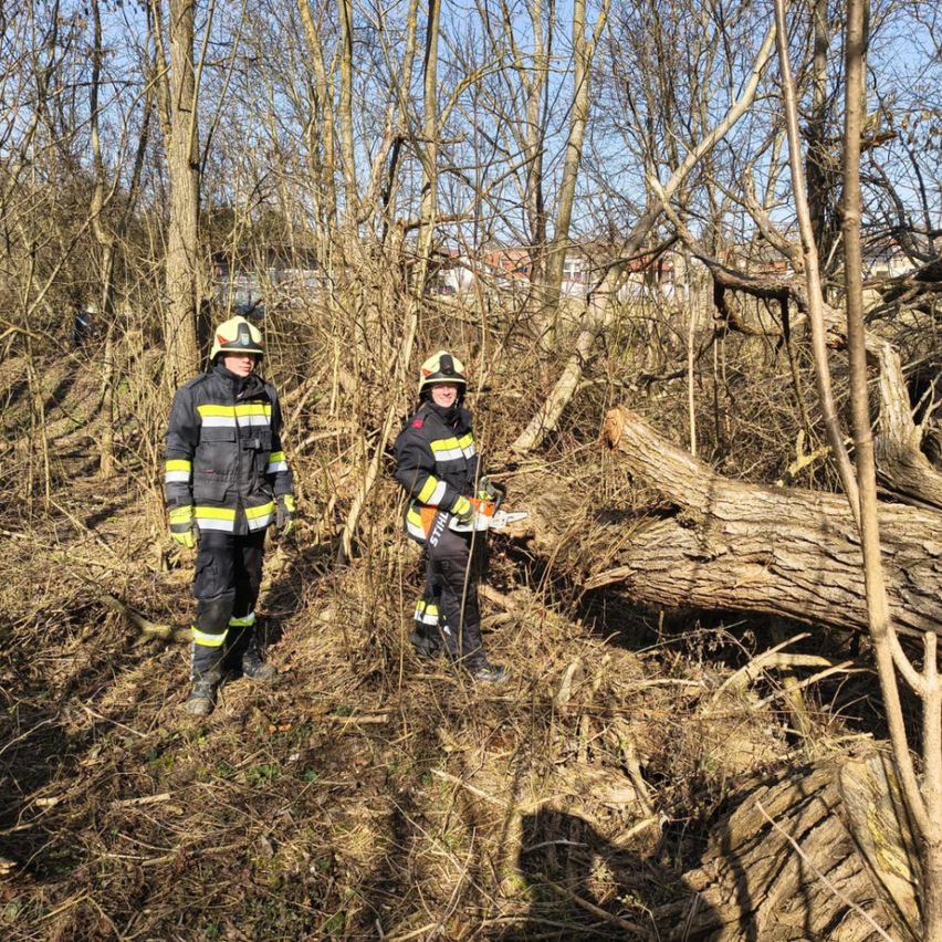 Zwei Feuerwehrleute stehen in einem Wald, einer sägt einen umgestürzten Baum mit einer Kettensäge, während der andere zusieht. Beide tragen vollständige Feuerwehrausrüstung.