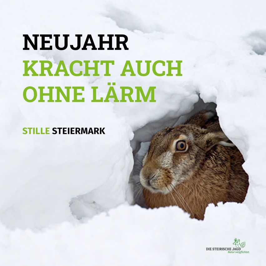 Ein Hase lugt aus einem schneebedeckten Loch heraus. Die Worte 'Neujahr, Kraft auch ohne Lärm' sind prominent angezeigt.
