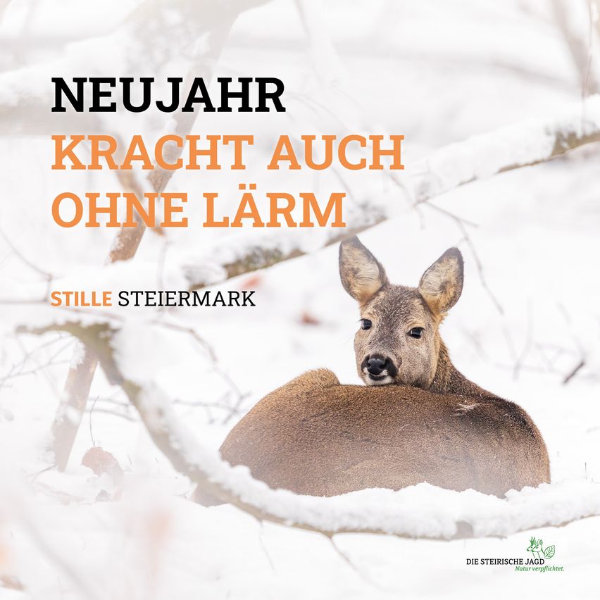 Ein Reh ruht sich im Schnee aus. Der Textüberlagerung lautet 'Neujahrsstärke auch ohne Lärm. Es ist eine ruhige Steiermark.'