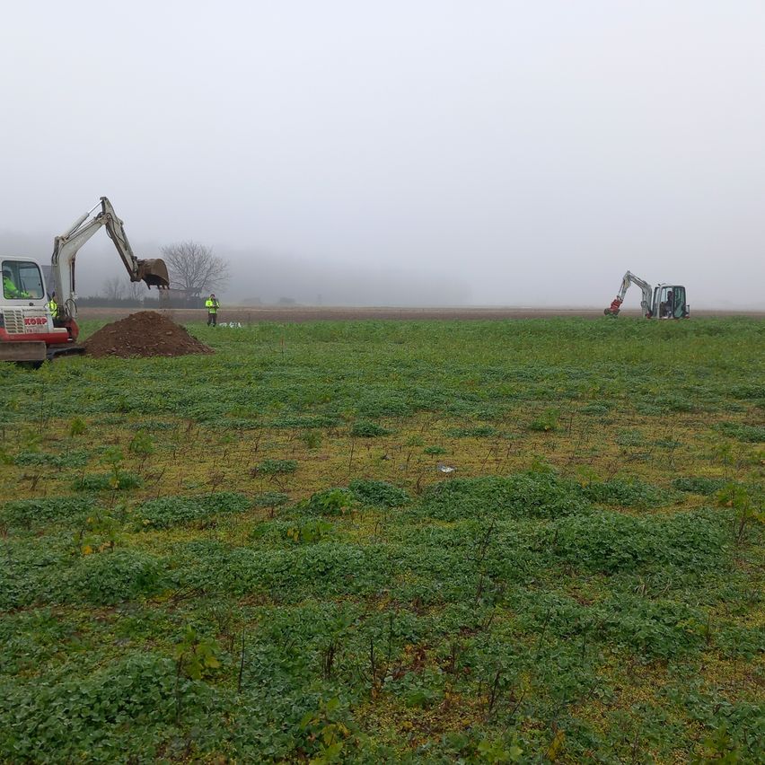 Two excavators are working in a foggy field. One is digging while the other stands ready. Workers in yellow vests observe from a distance.