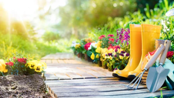 v1_migrated_image_31822947