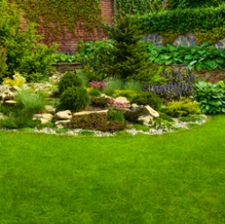 v1_migrated_image_33562429