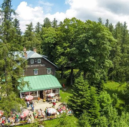 Bild enthält, Nature, Outdoors, Scenery, Vegetation, Tree, Land, Woodland, Housing, Cottage, House